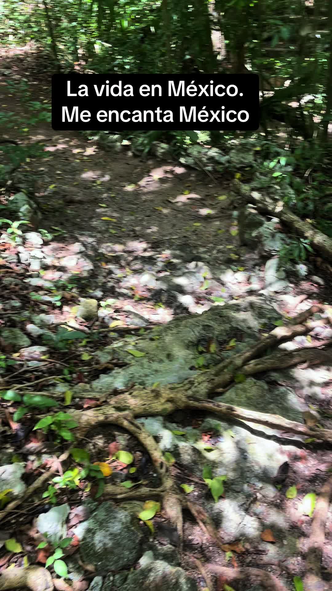 @Sum Good JuJuš§æ