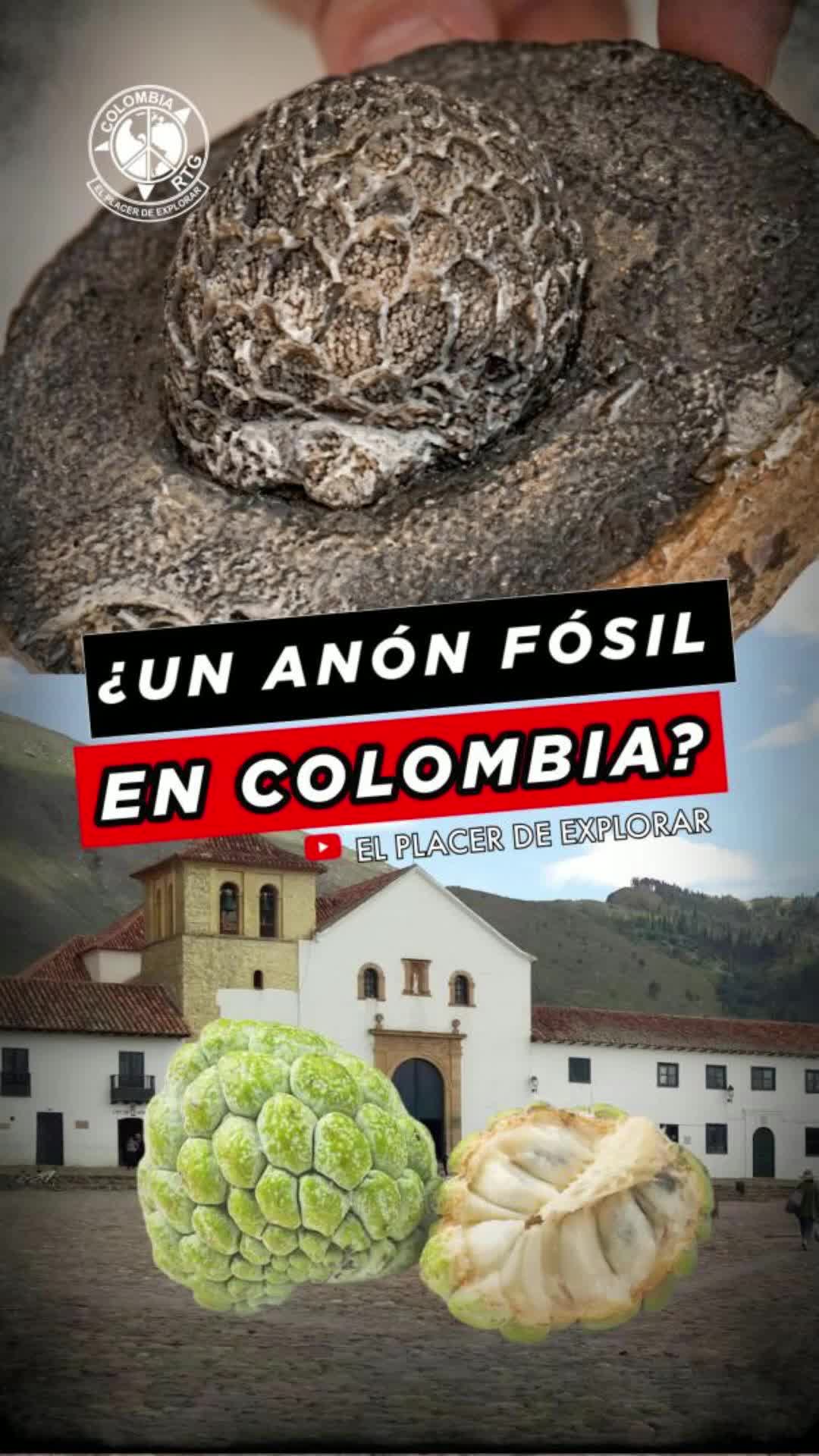 @El Placer De Explorar
