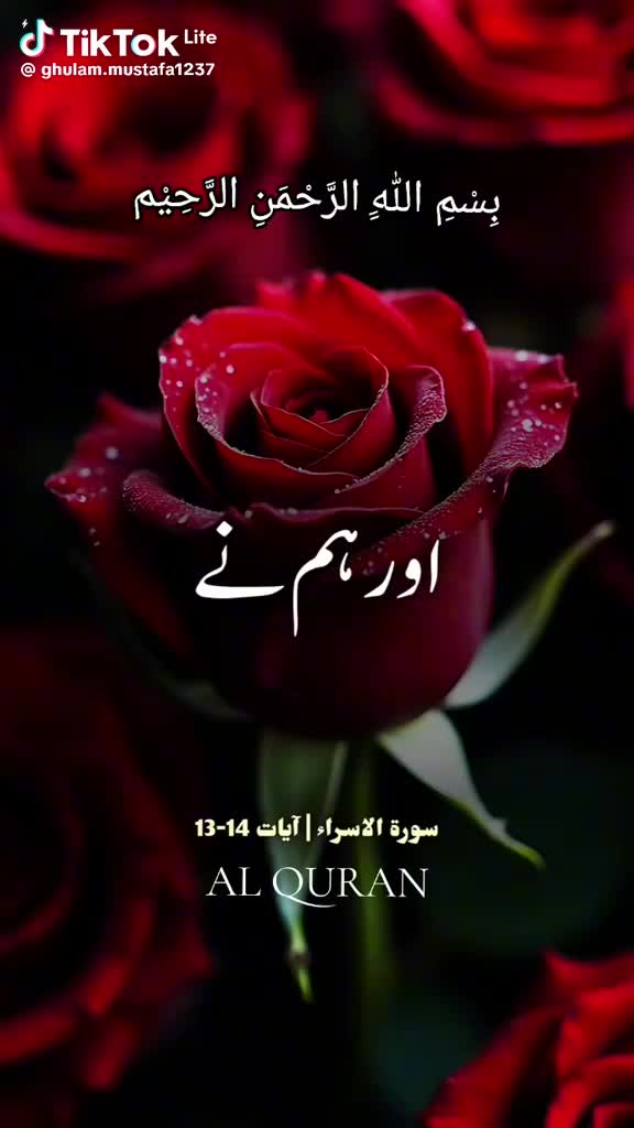 @Raja Jamil