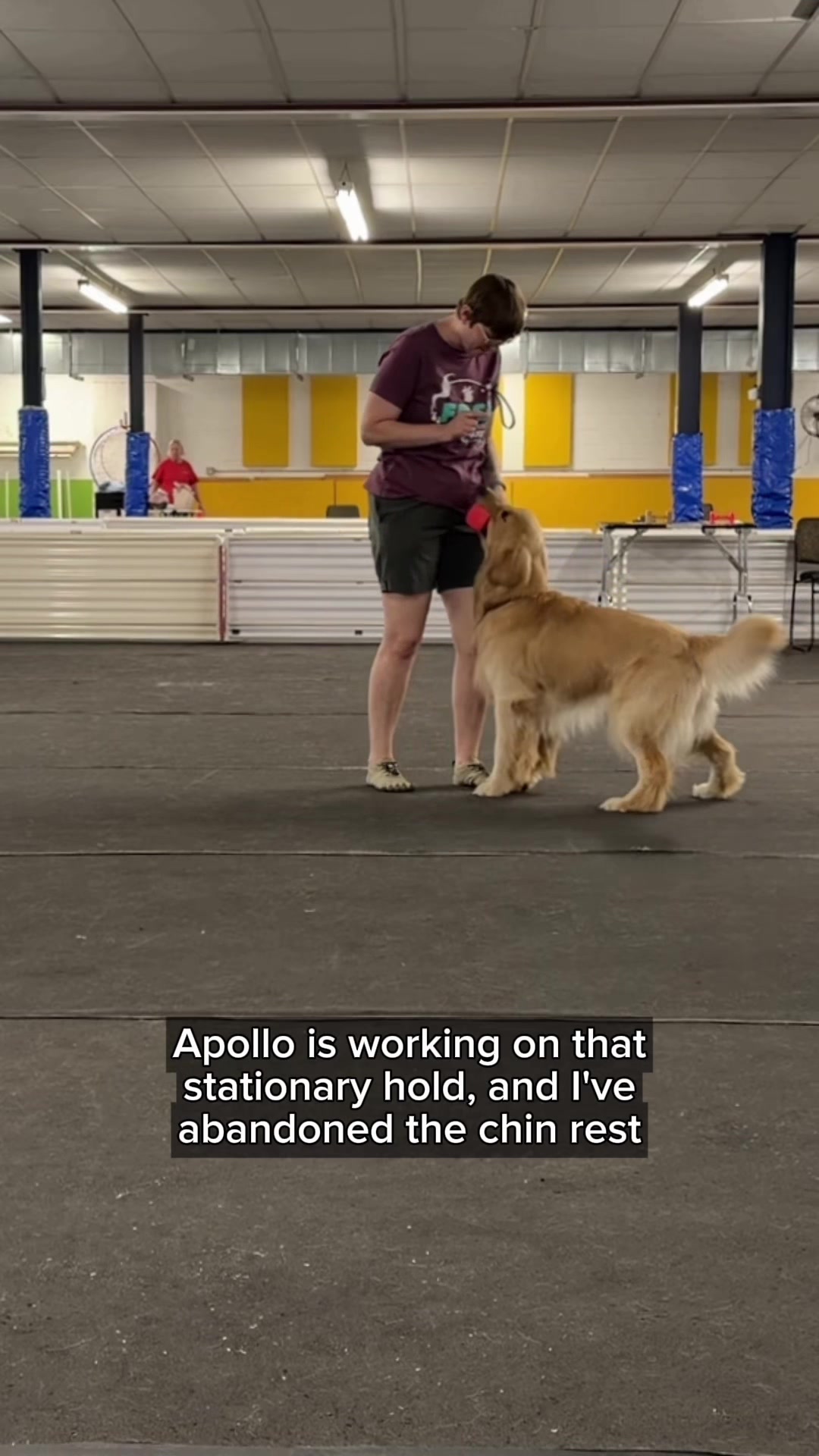 @Laura Waudby - Dog Sports