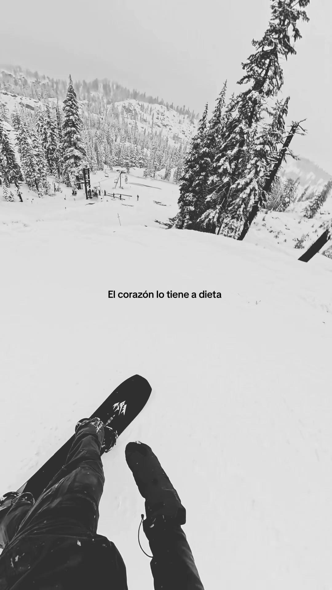 @🌴