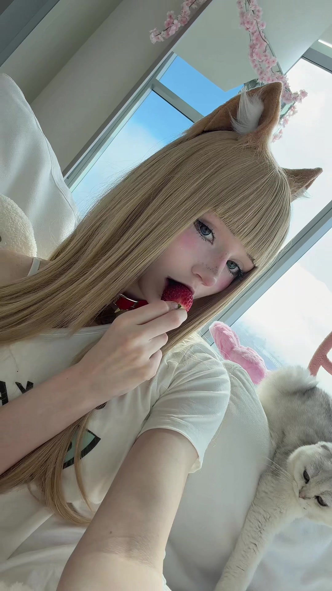@smeeps