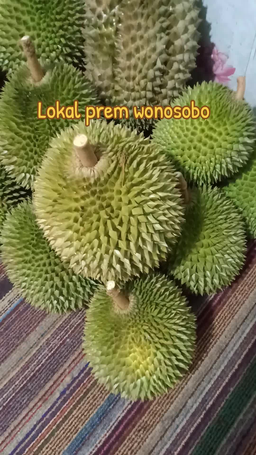 @pono duriaan wsb 🇲🇨🆗🔄🔂☎️