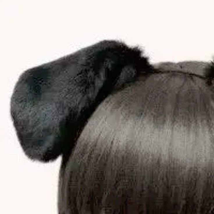 @🧸