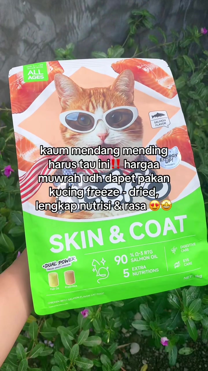 @Cat Project