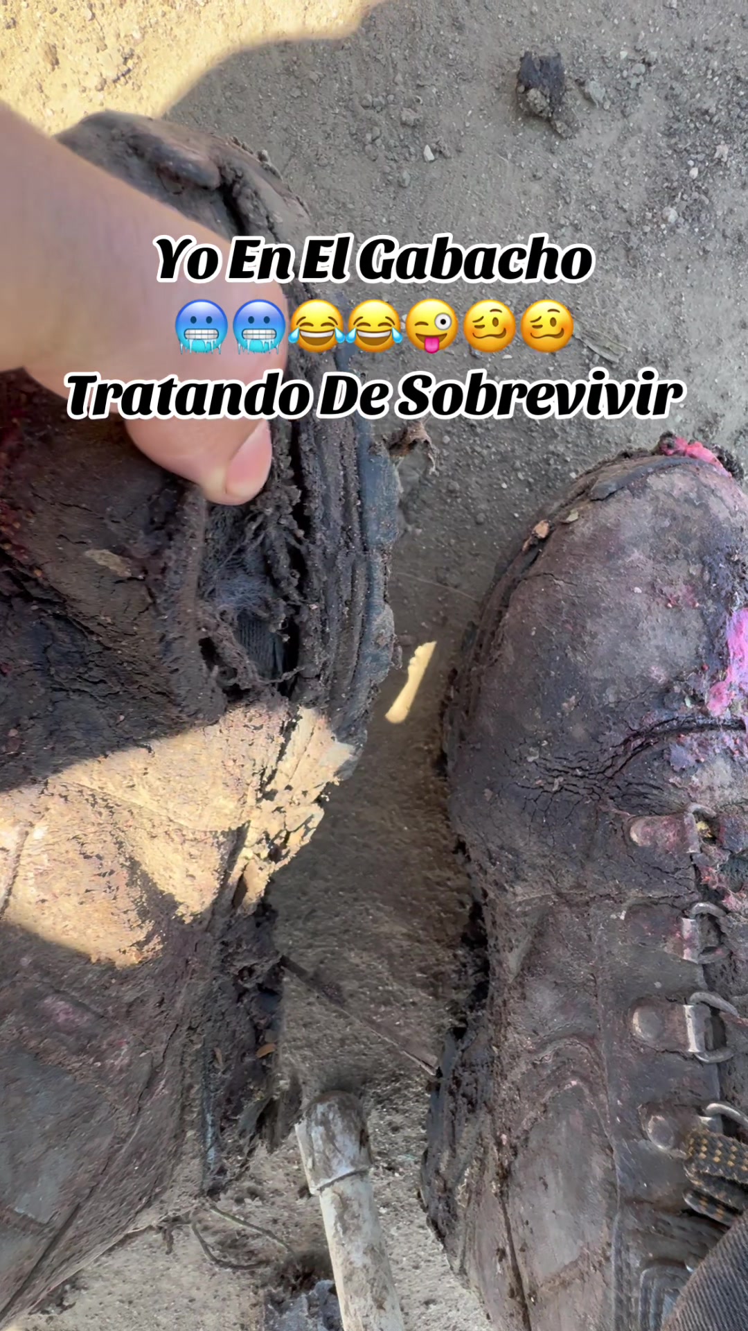 @elbuenavida58