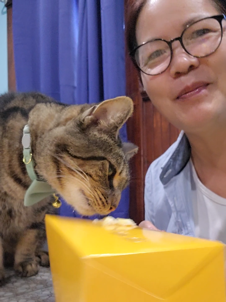 @foodandcats