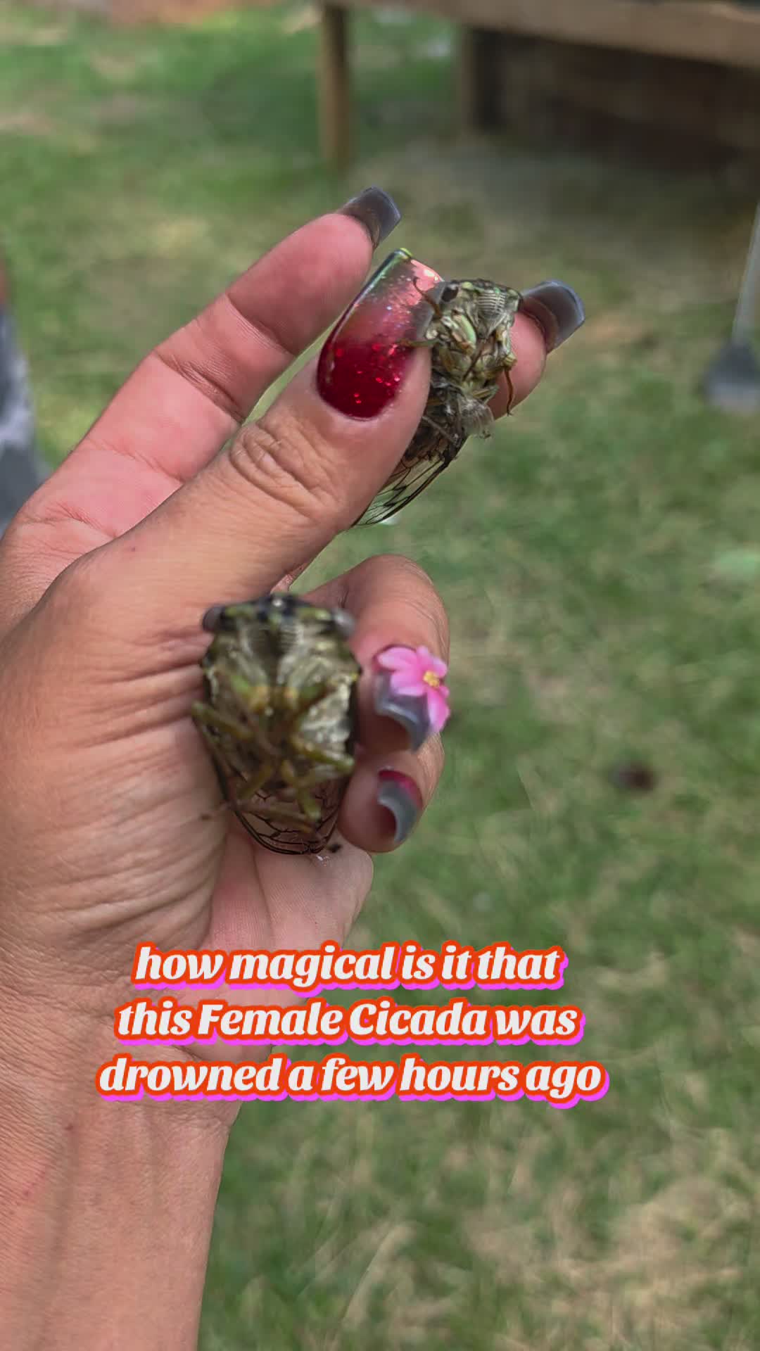 @🧚🏻&zwj;♀️🌳Faerie3xotic🌳🧚🏻&zwj;♀️
