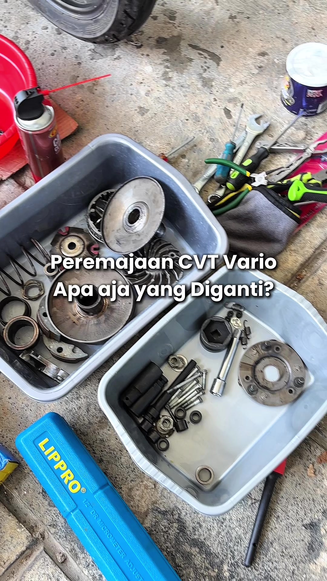 @Bapack Newbie