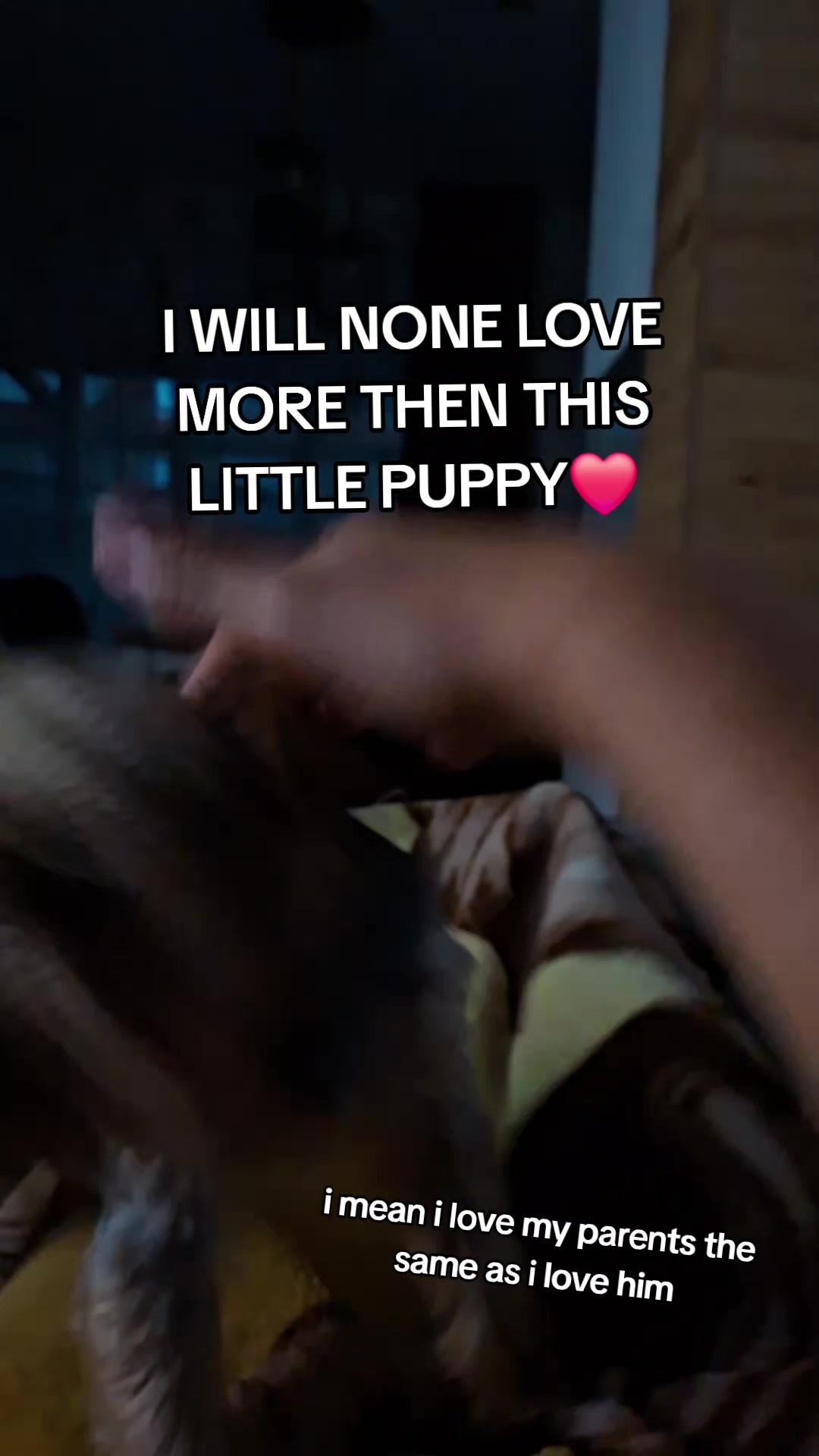 @FILIP🧤
