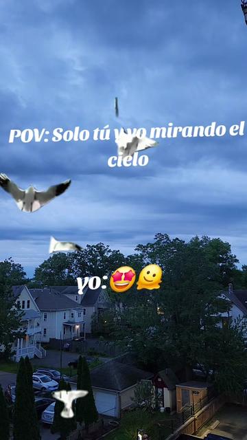 @Alicia Colón