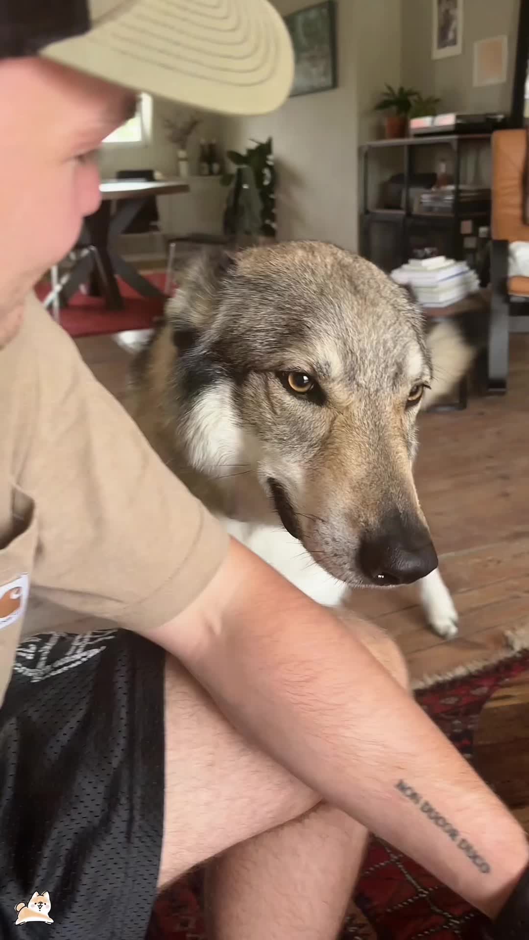 @SneakyFails
