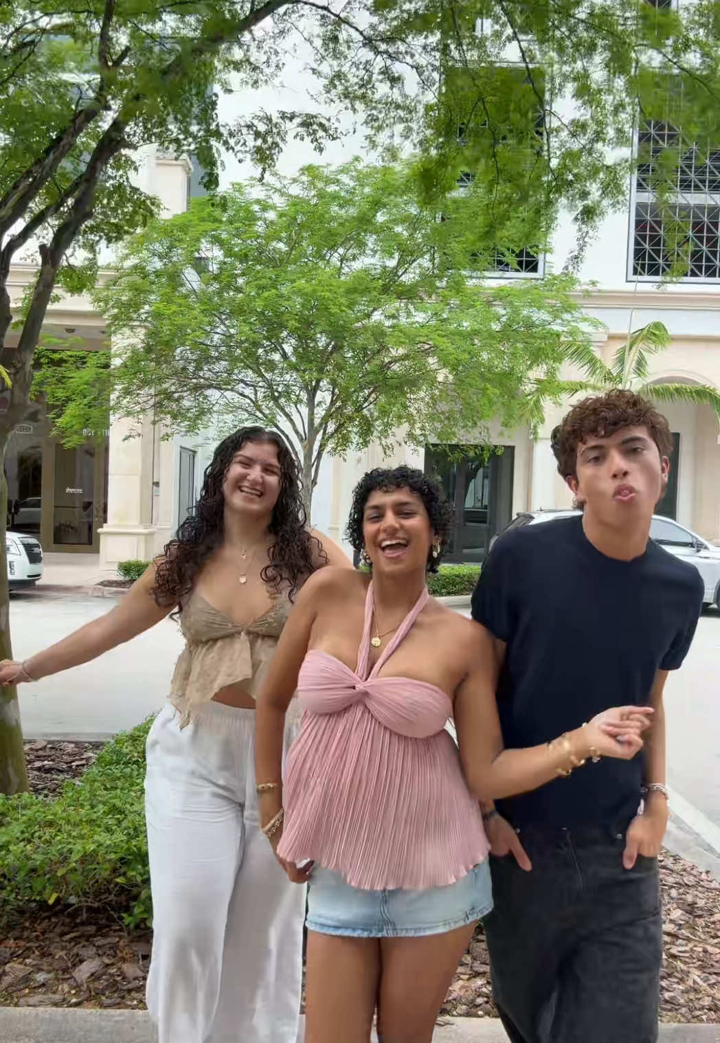 @aneesa