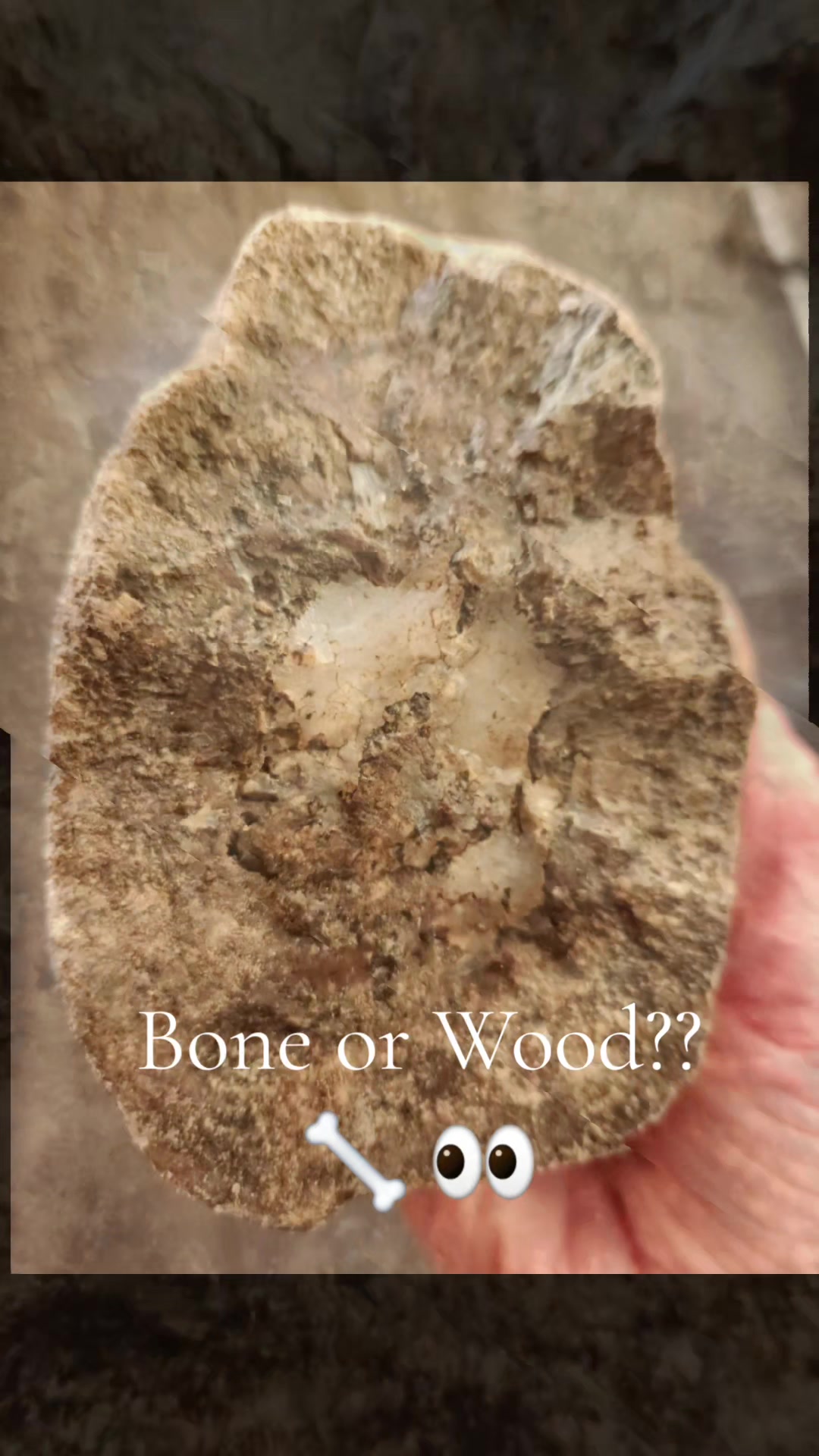@EarthyFinds