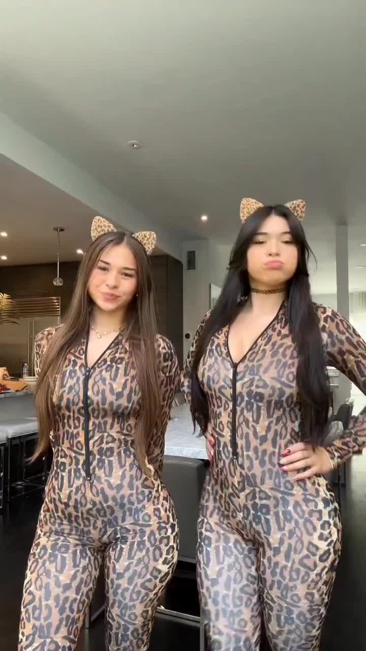 @๐ฉ๐๐๐
๐๐ถ๐๐ข๐พ๐๐๐
