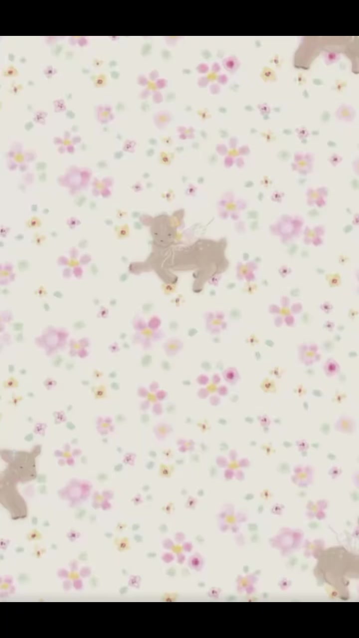 @Xunbao☀️