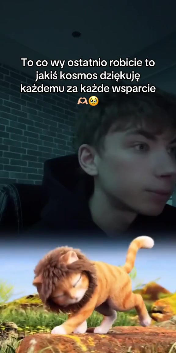 @napewnoniemaksiu
