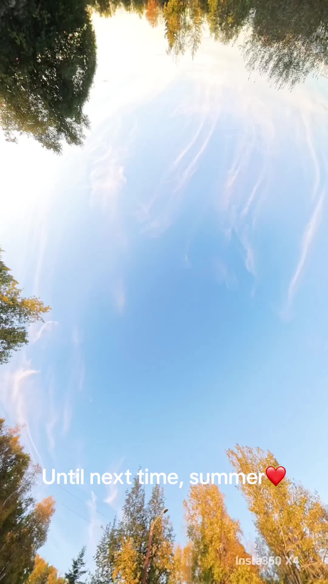 @Love907