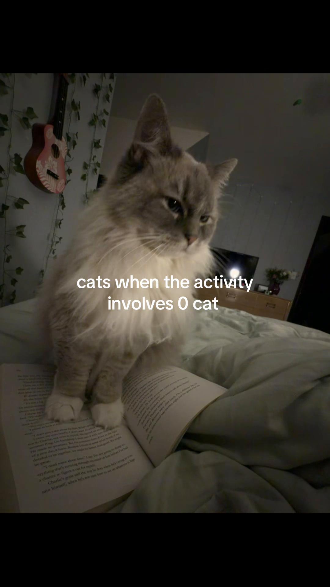 @abbyyyyy