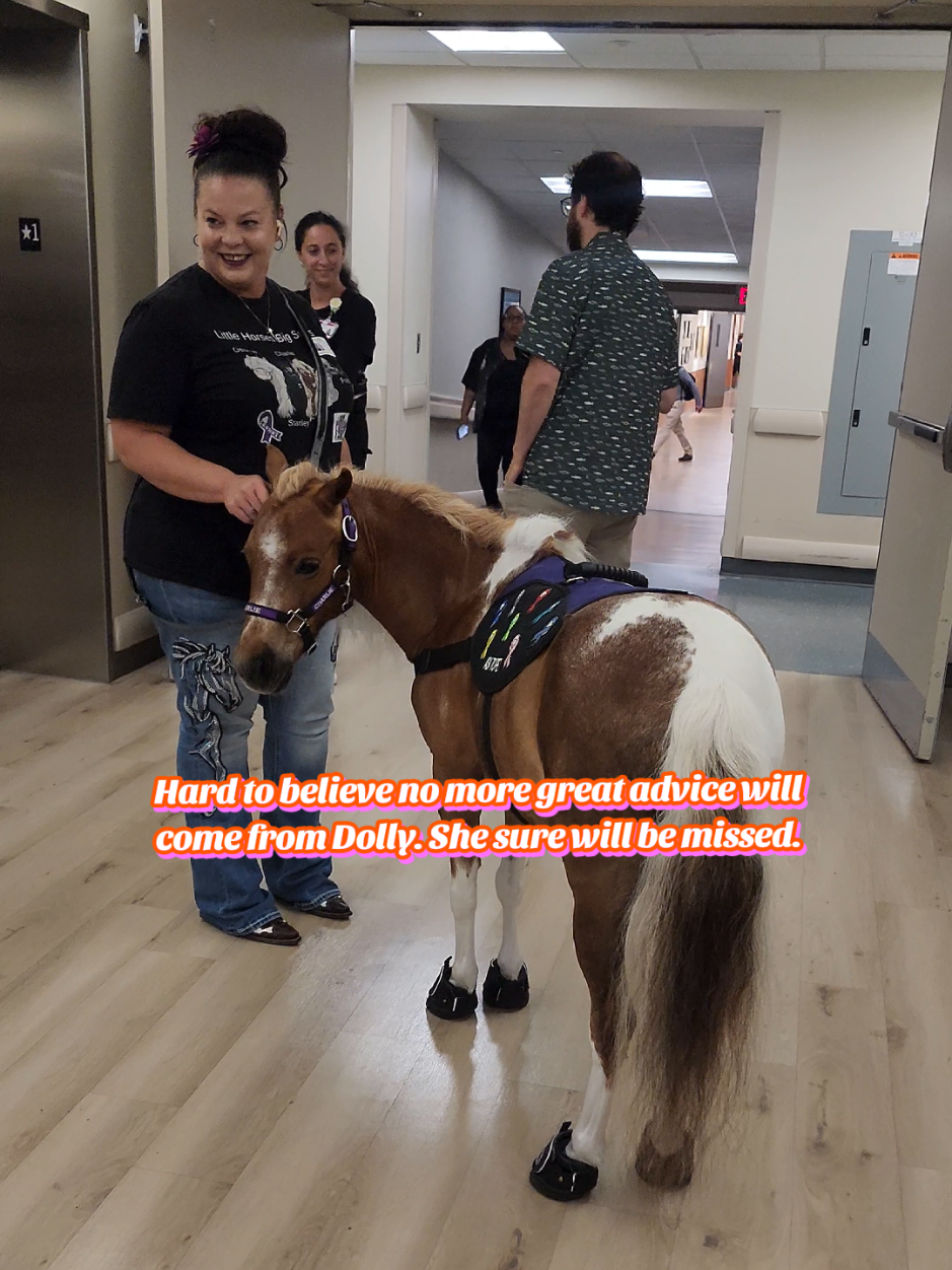 @minihorsemomandtrainer🐴🐴🐴🐴