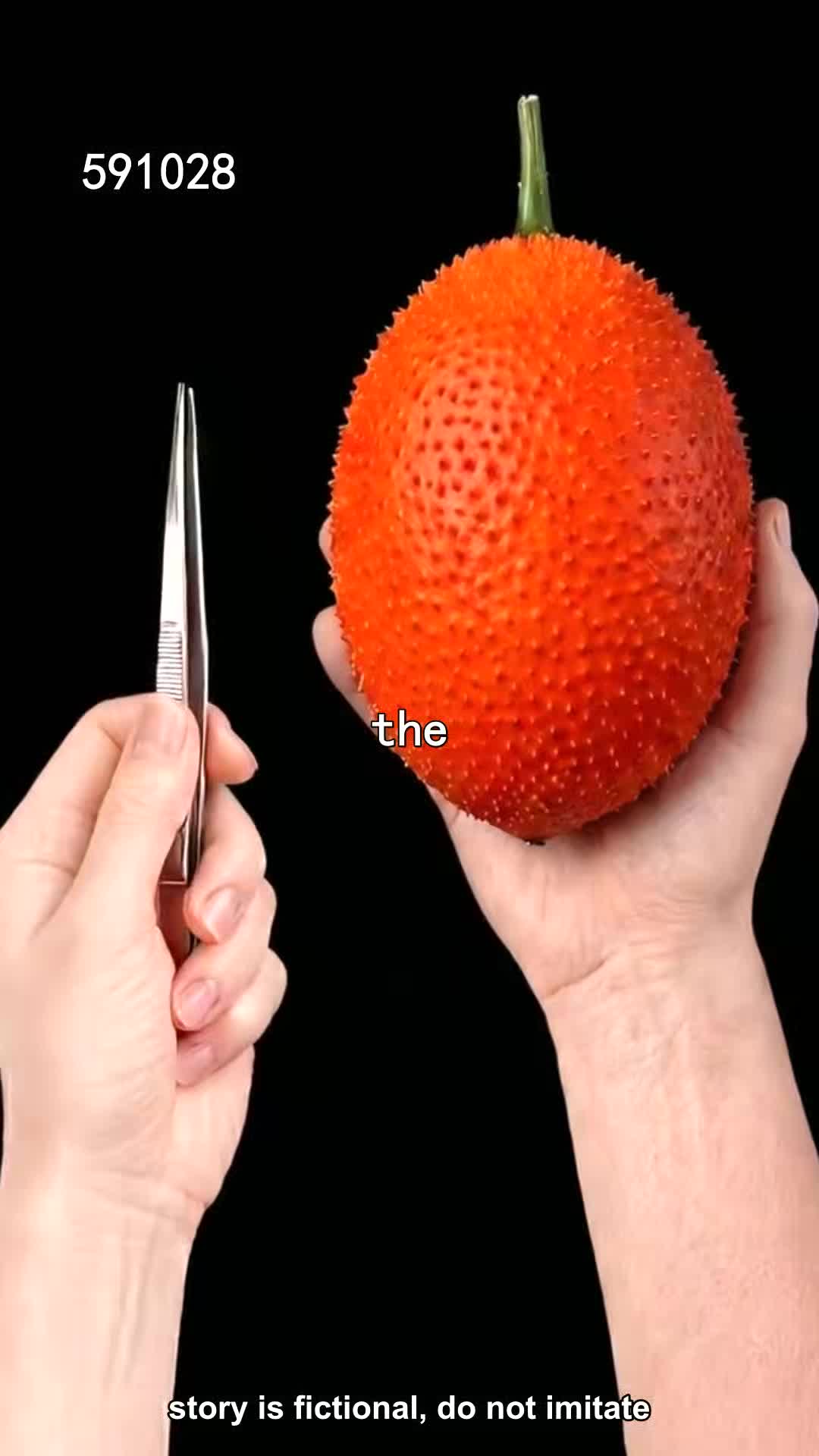 @pjtqbc