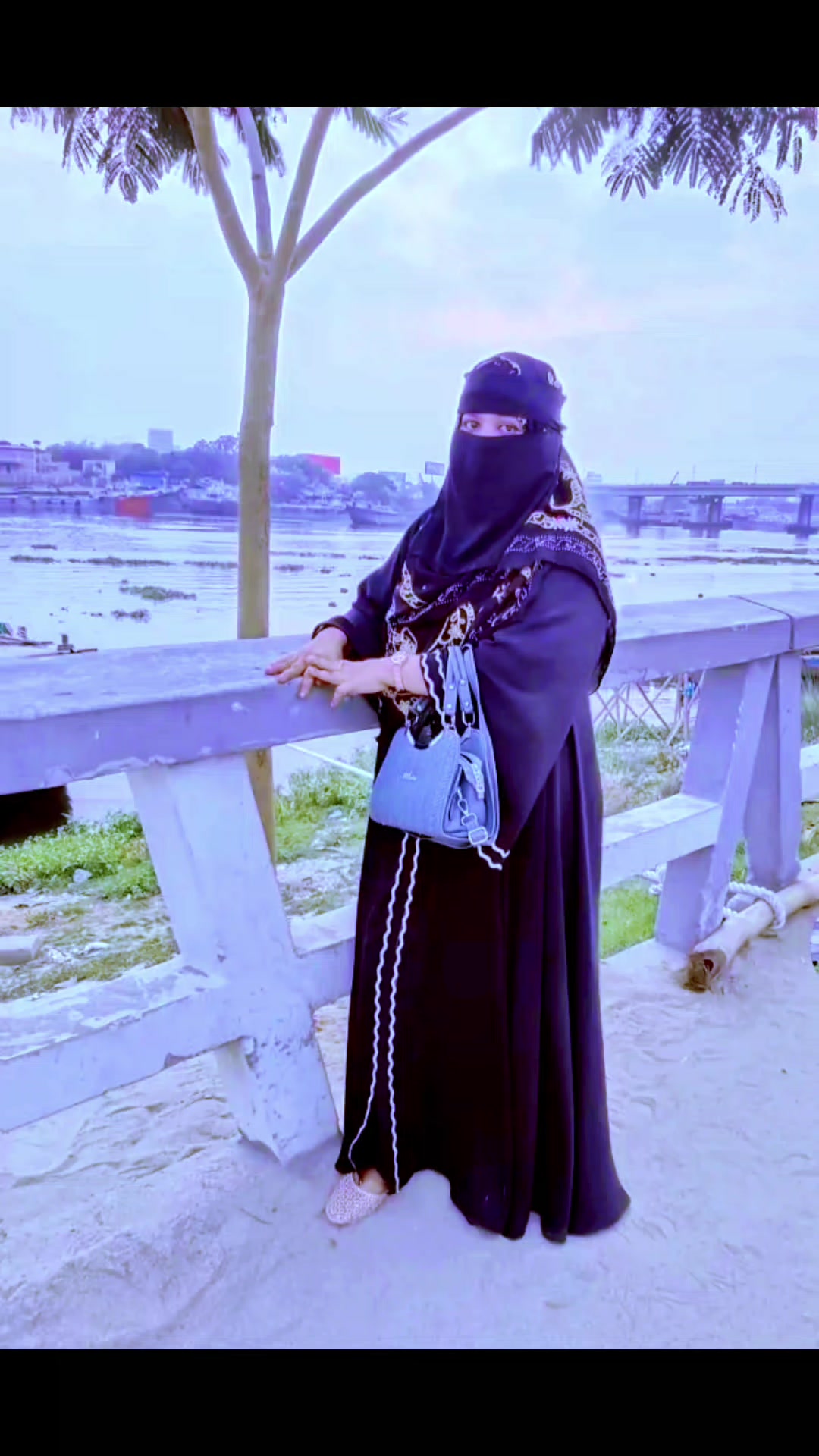 @ভালোবাসার লাল গোলাপ 🌹🌹
