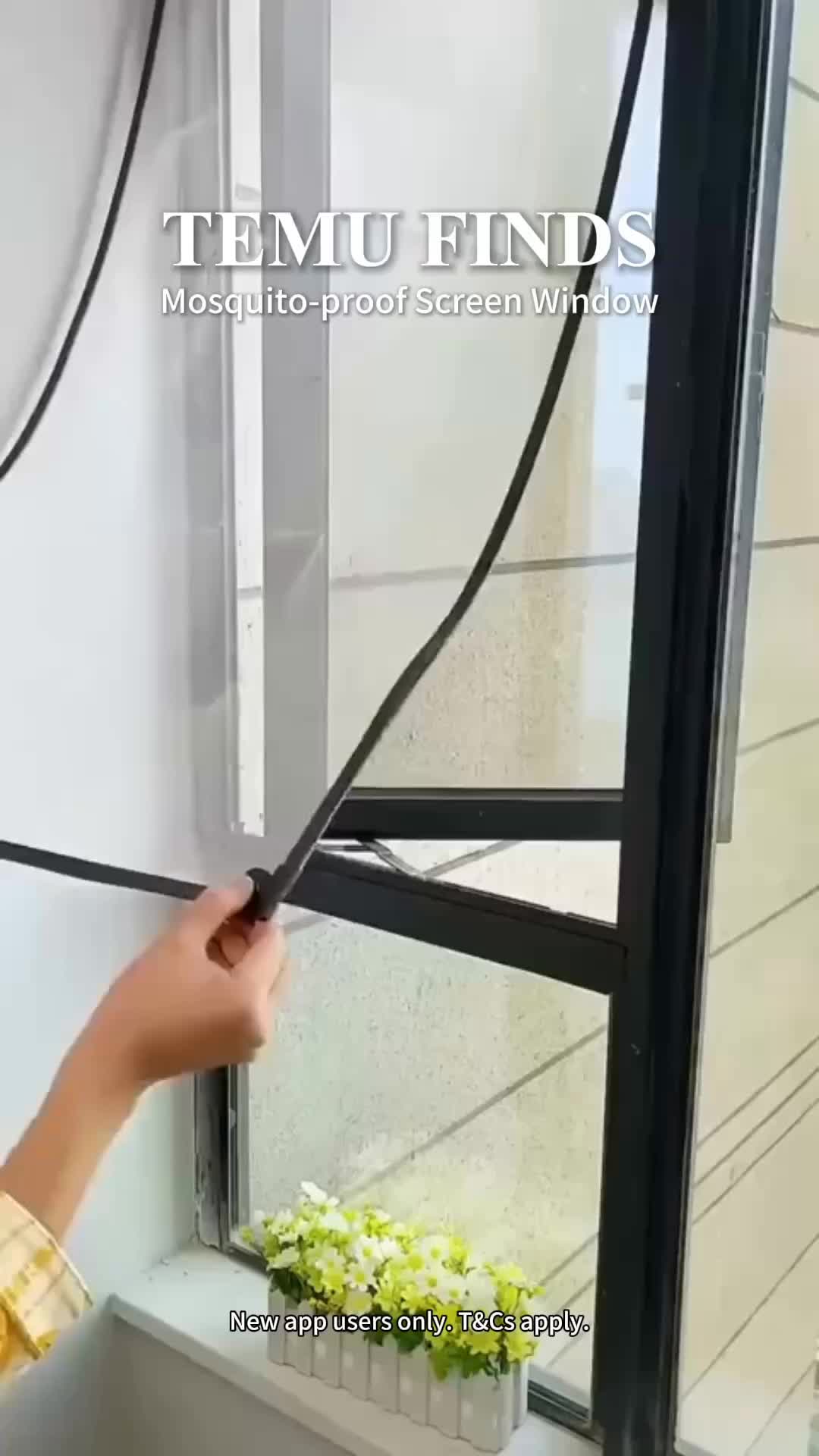 @mucindyfinds