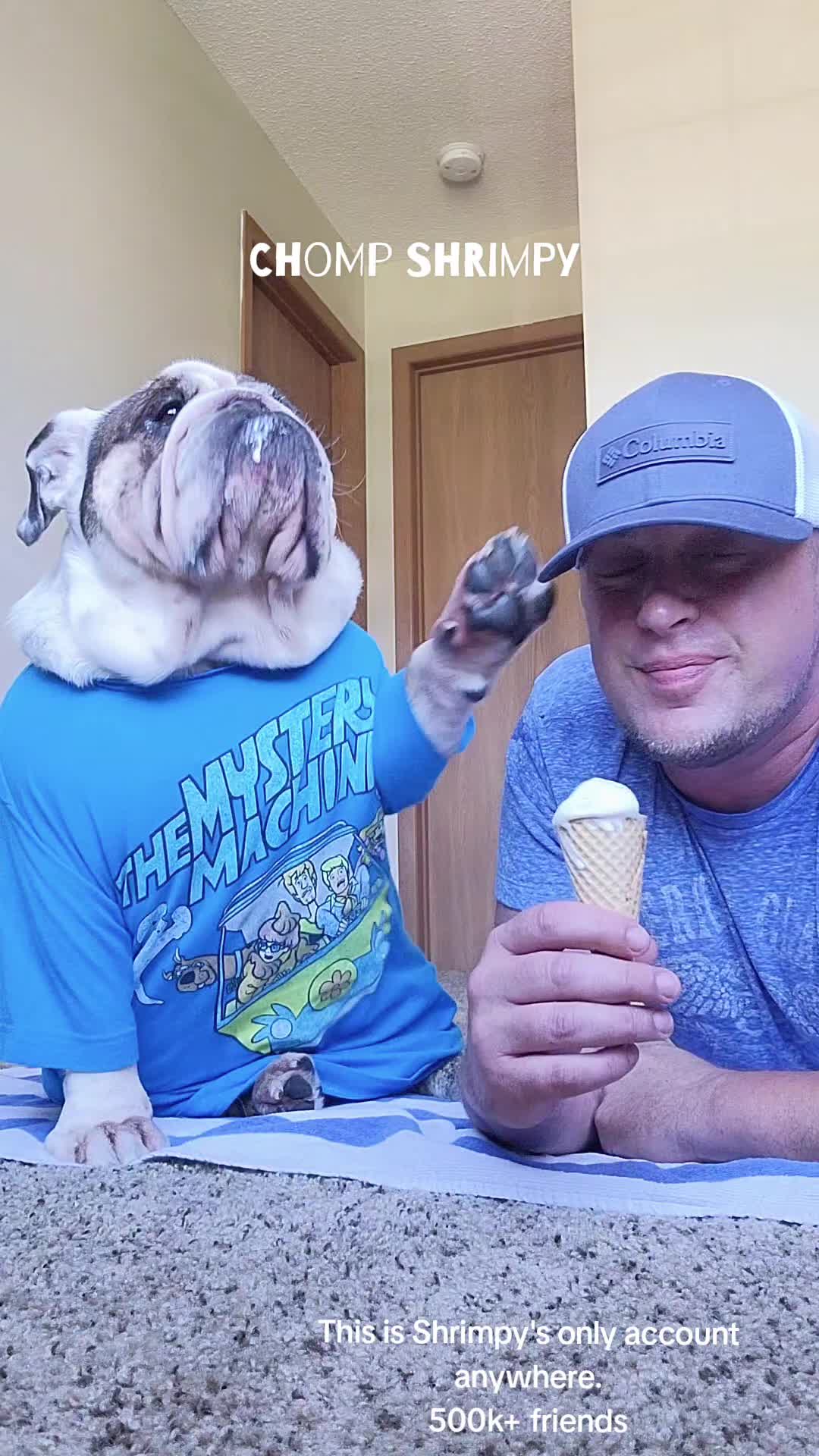 @Shrimpy