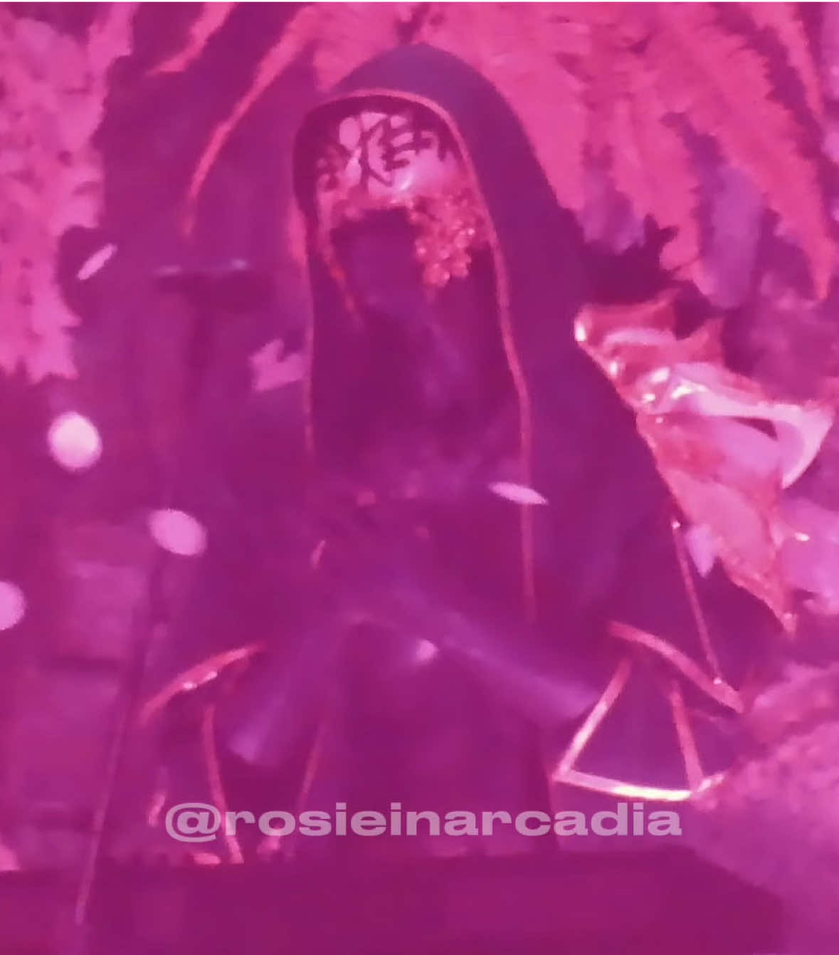 @rosieinarcadia