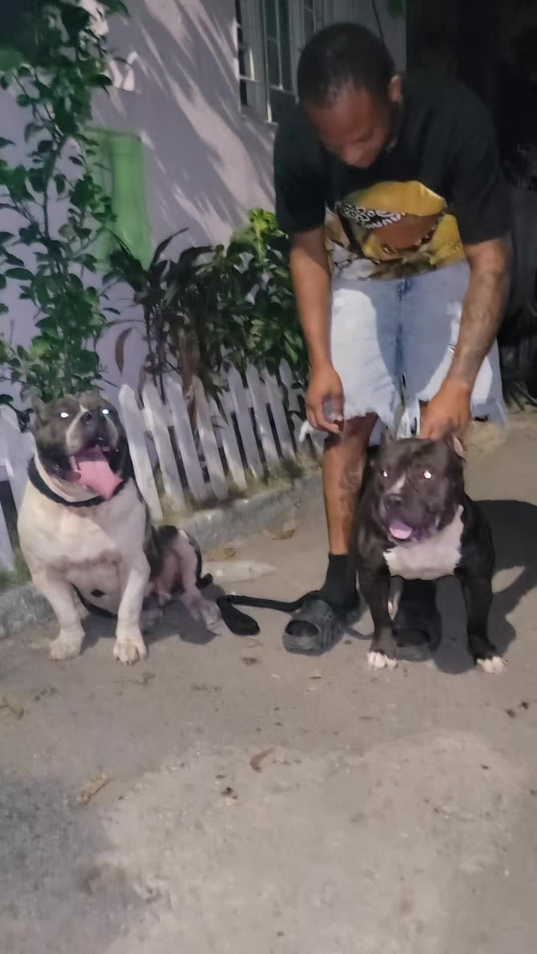@machinesquad kennel