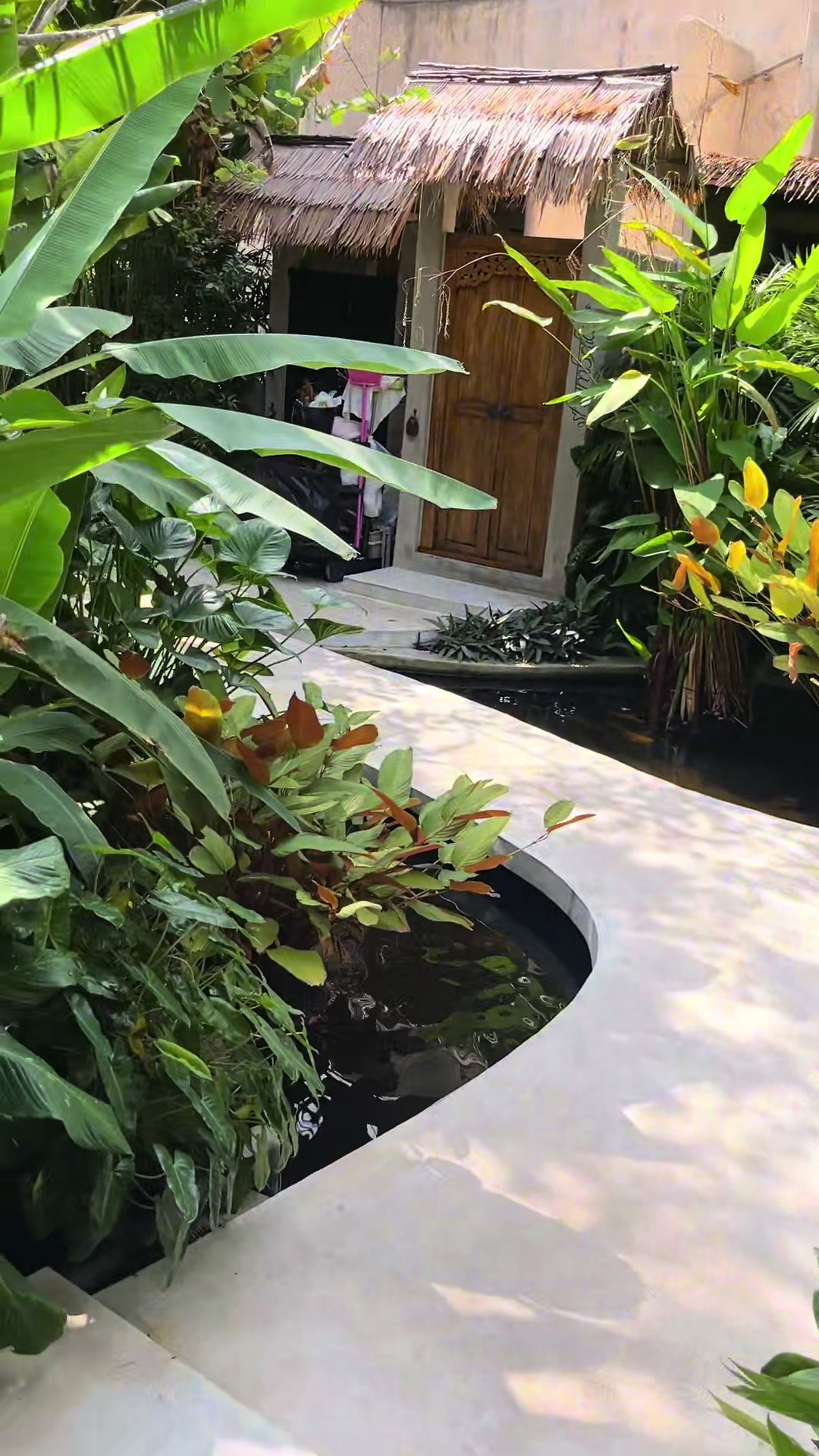 @🏝️ Magical Island Samui 🌴🍹