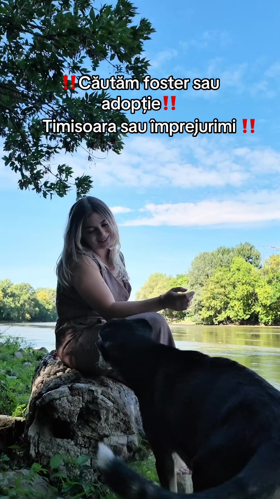 @simevalentina