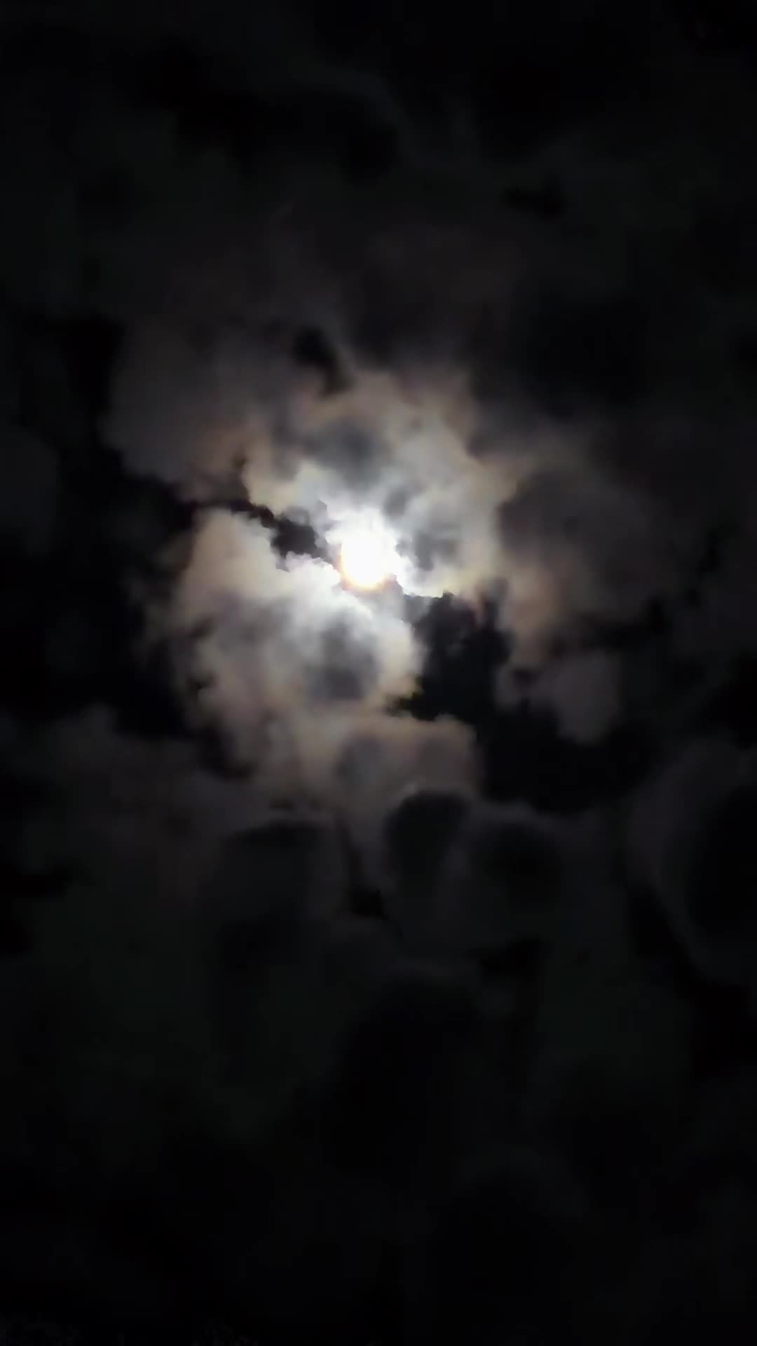 @ᠻꪗ᥅ꫀ 𐂯ᶻ 𝗓 𐰁 .ᐟ