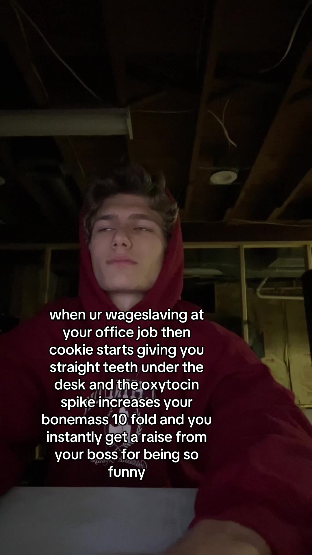 @halo