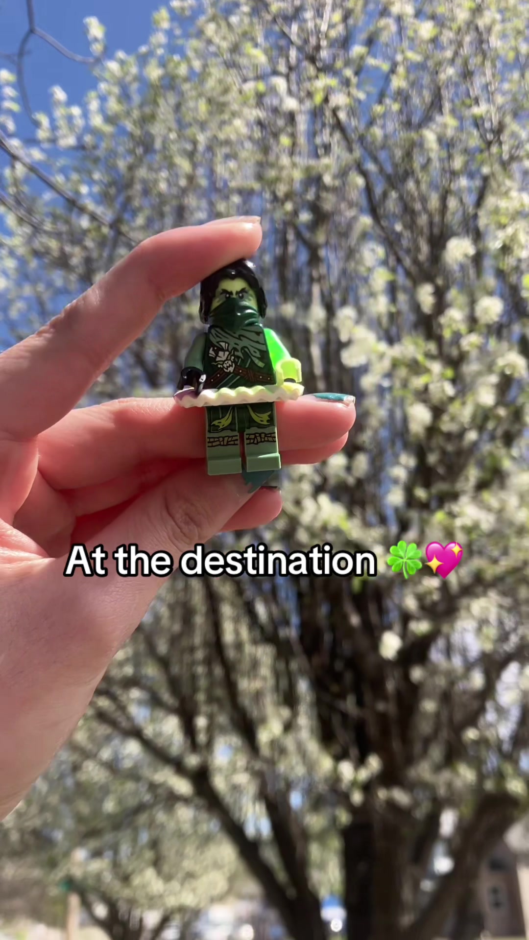 @𓂃 ࣪˖ ִֶָ 𝔄𝔩𝔦𝔠𝔢 ⏱️🐇་༘࿐