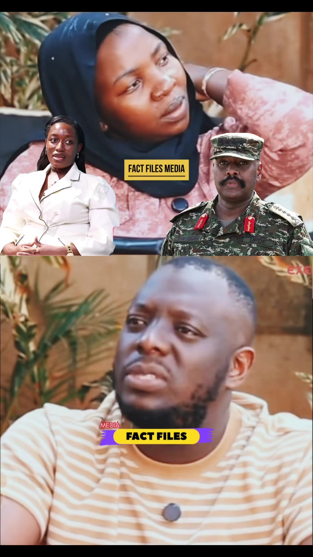 @FactFilesMedia