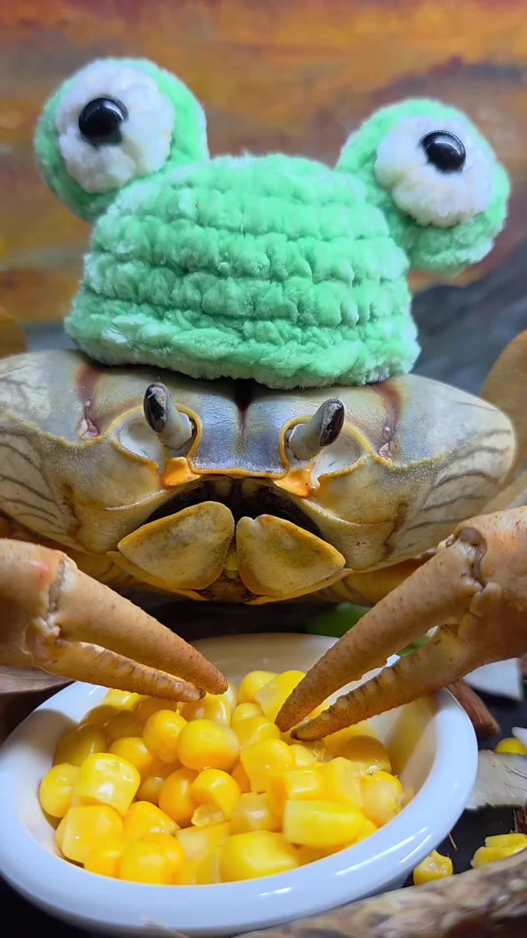 @Howie The Crab