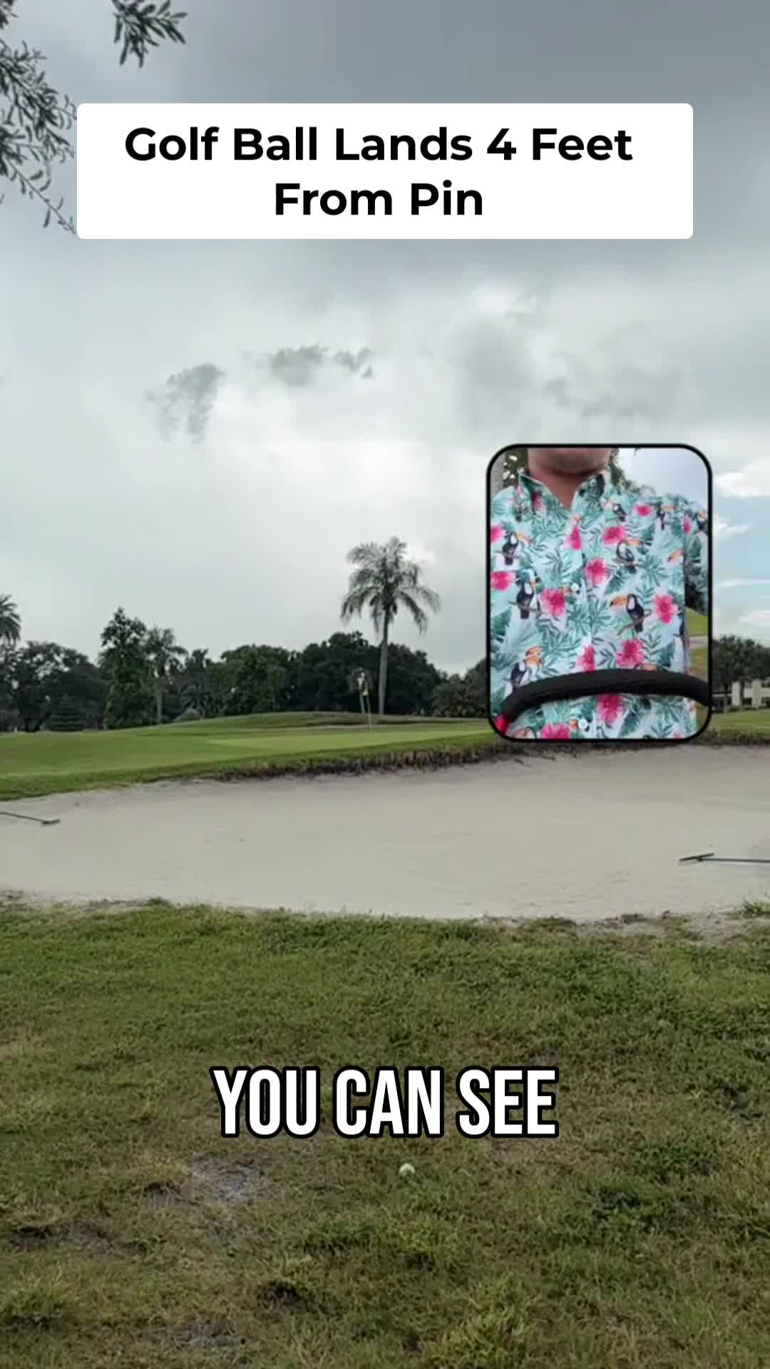 @Next Swing Golf