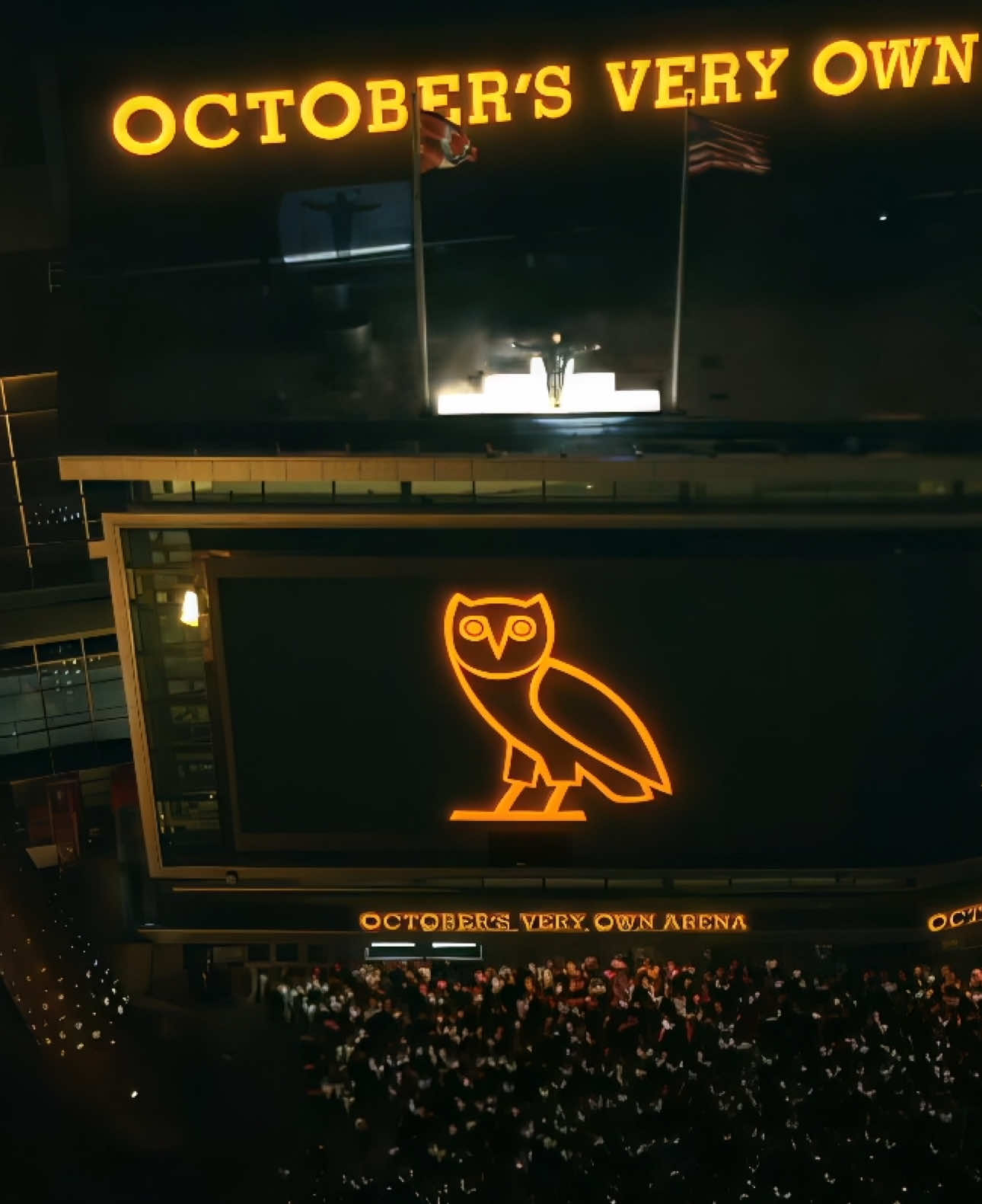 @🦉