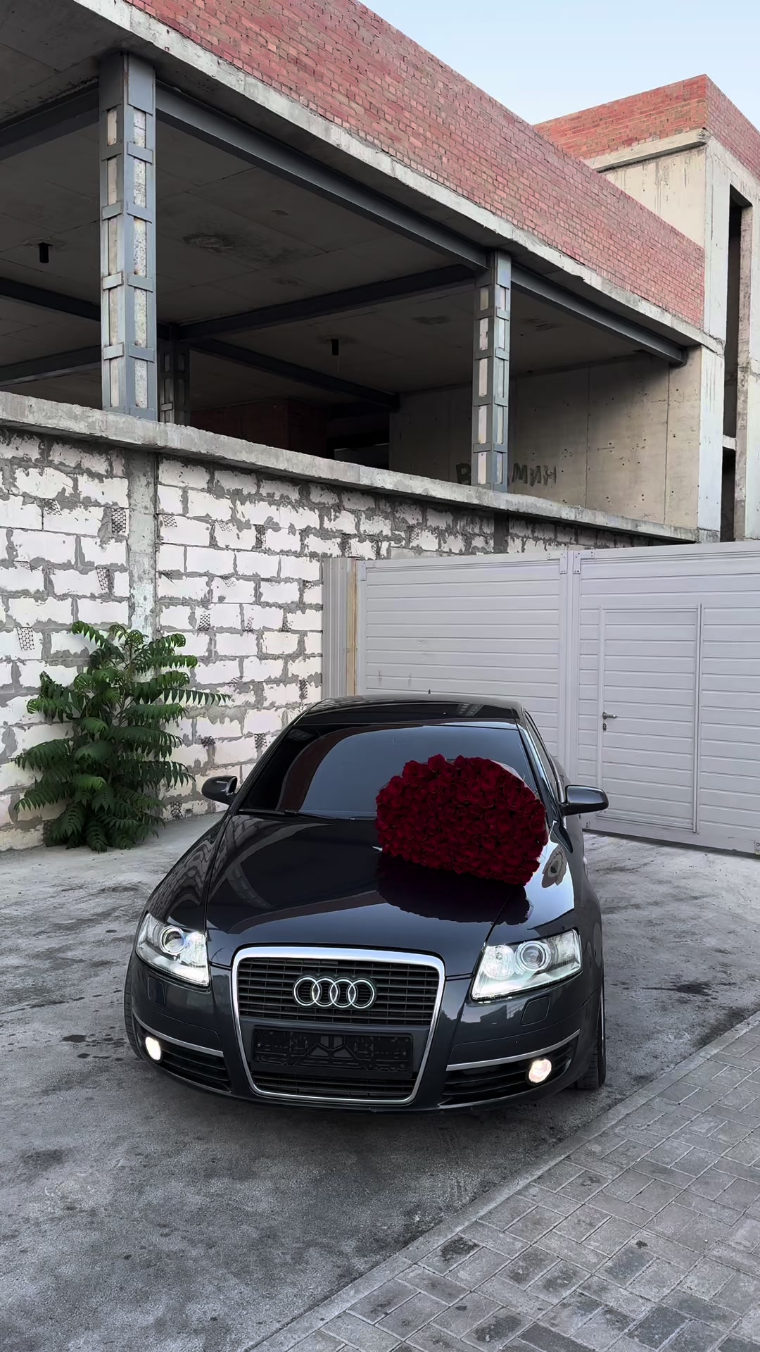 @𝙈𝙄𝙎𝙃_𝙂𝘼𝙉