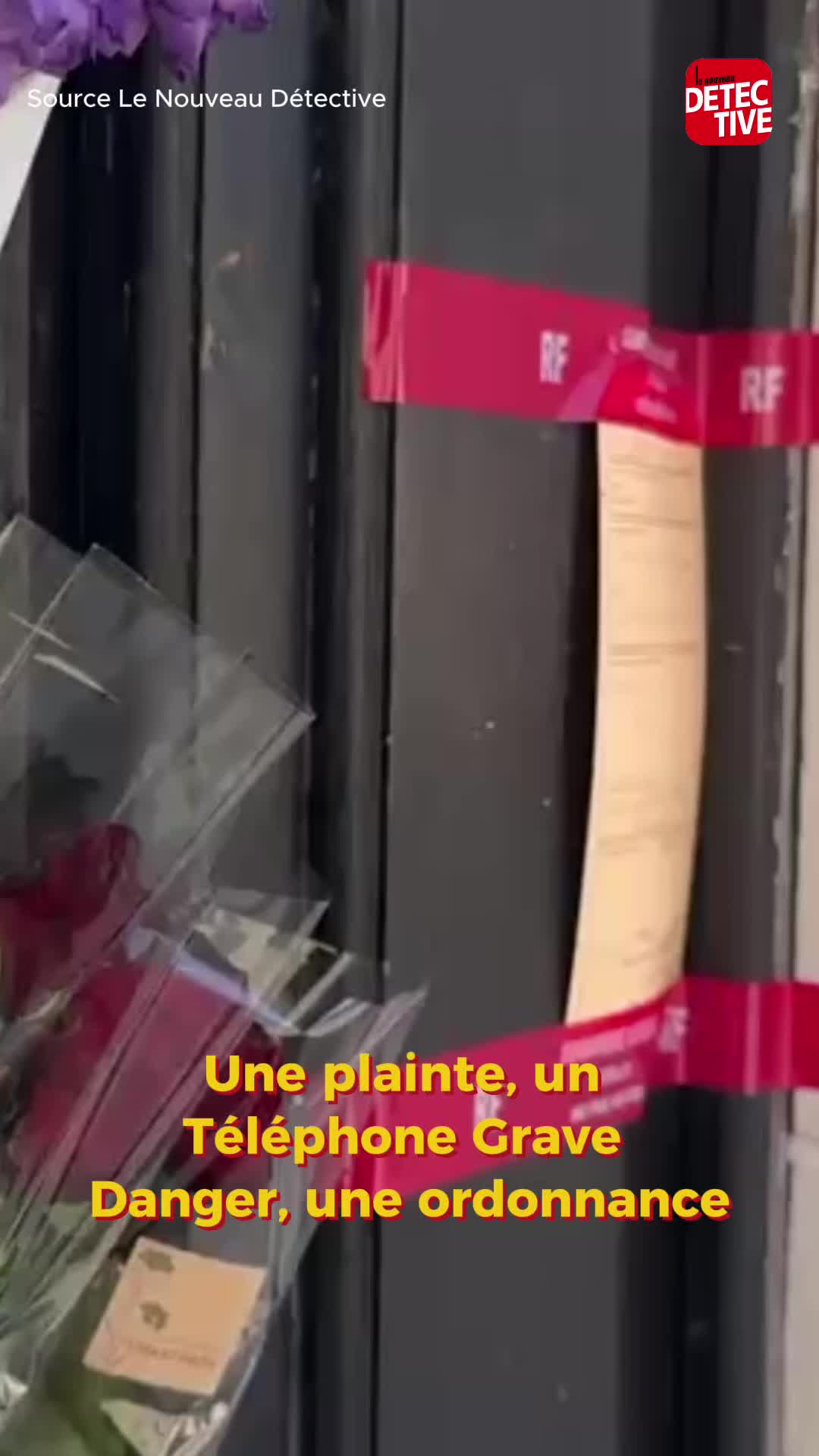 @lenouveaudetective