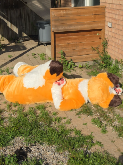 @Corgi