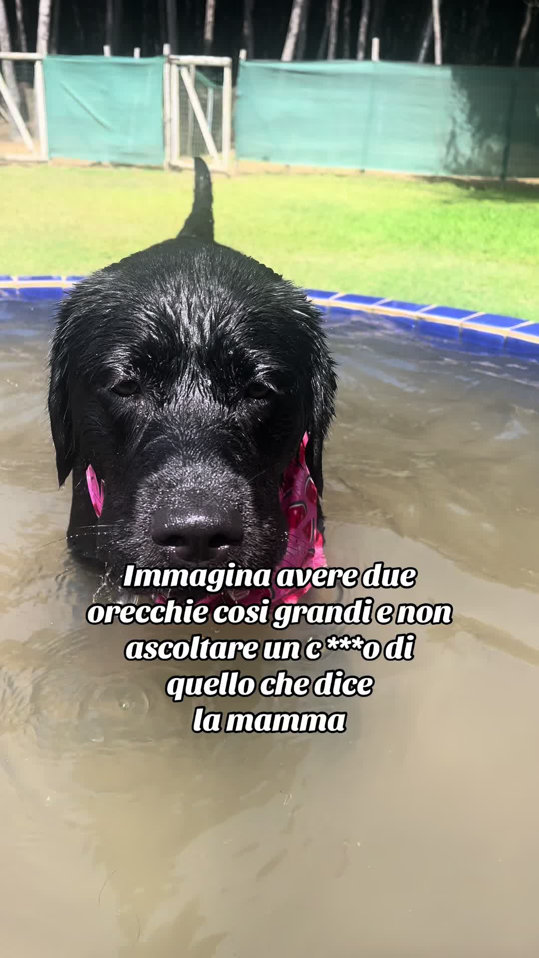 @Cloe e sabry🖤🐾