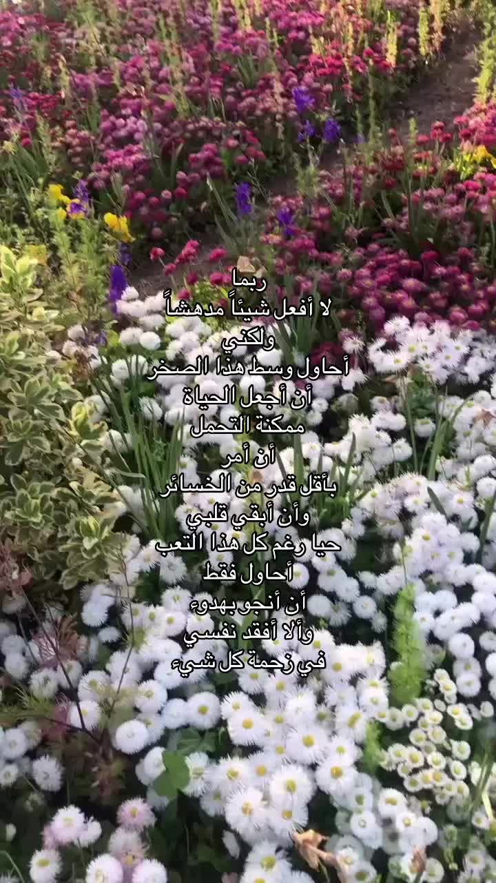 @🪽