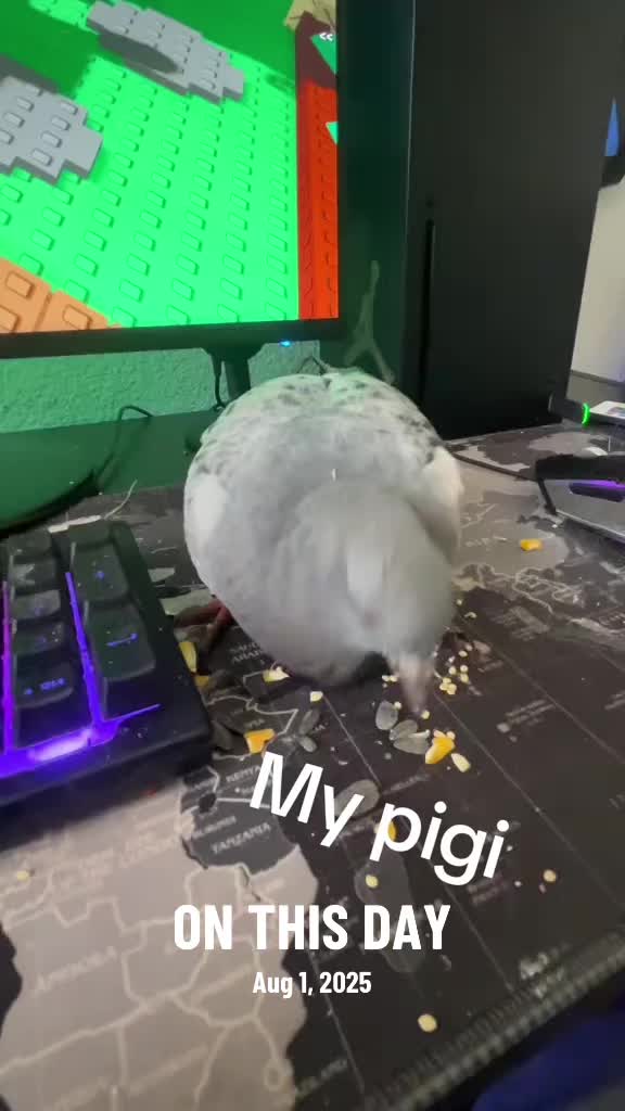 @โพ๏ธ๐๐๐ถ๐ก๐ข๐ซโพ๏ธ