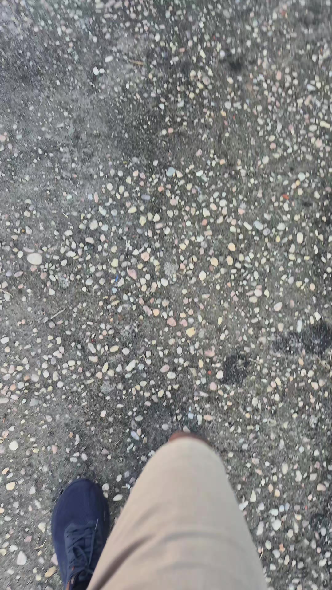 @Soaresx