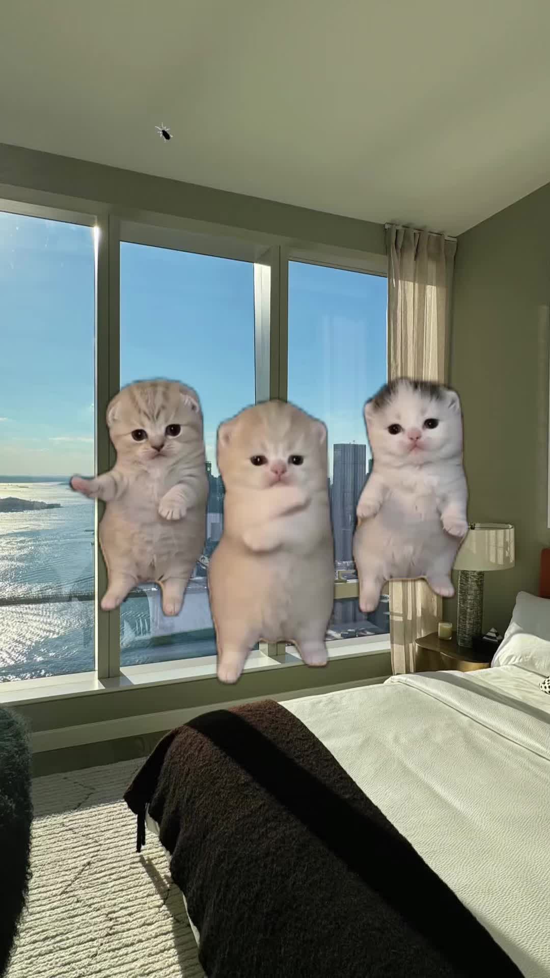 @wen