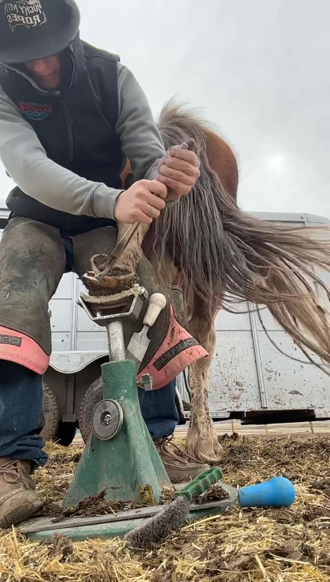 @bar_diamond_farrier