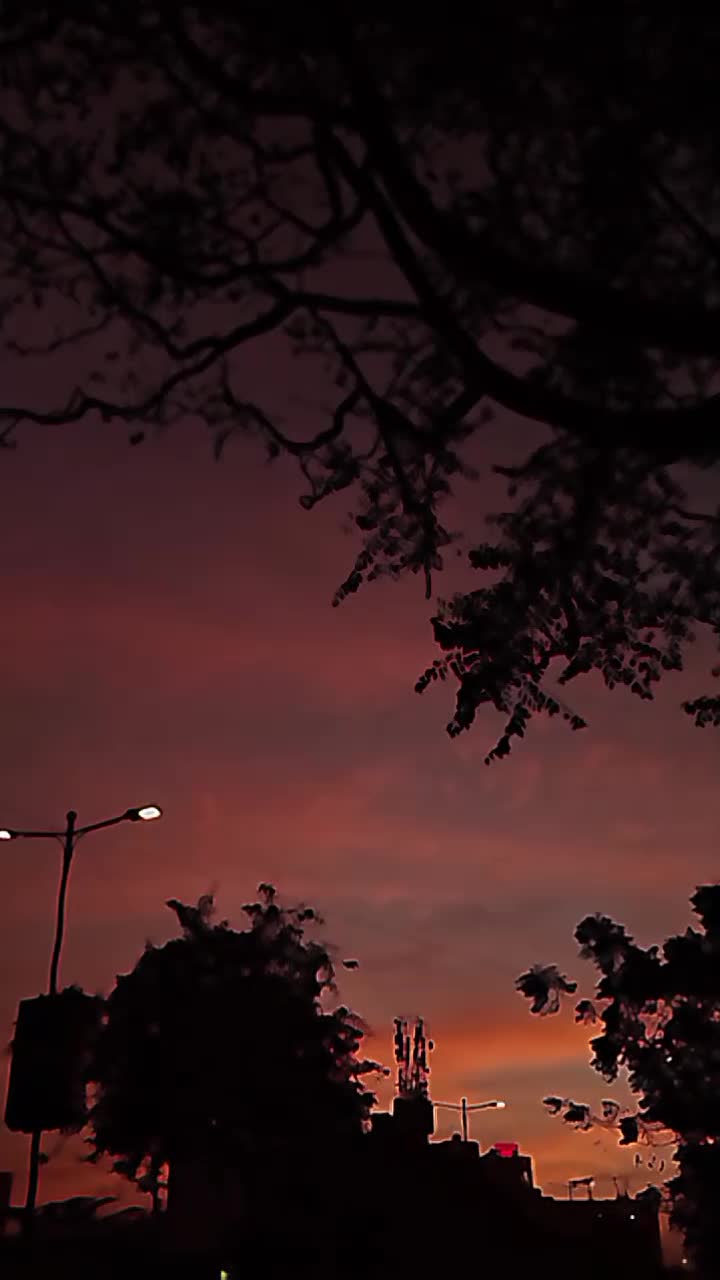 @𝓶 𝓱 𝓪 𝓷 𝓾 𖹭.