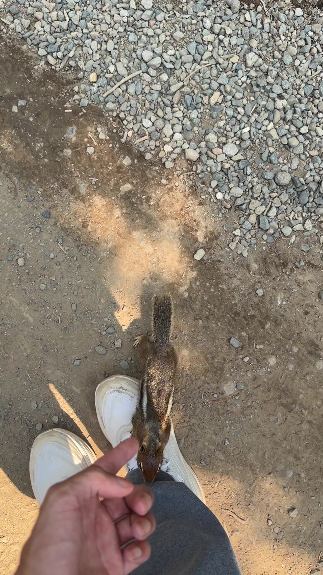 @seththestylist